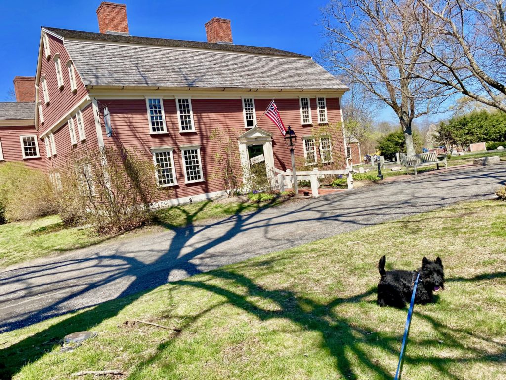 Floki at the Wayside Inn